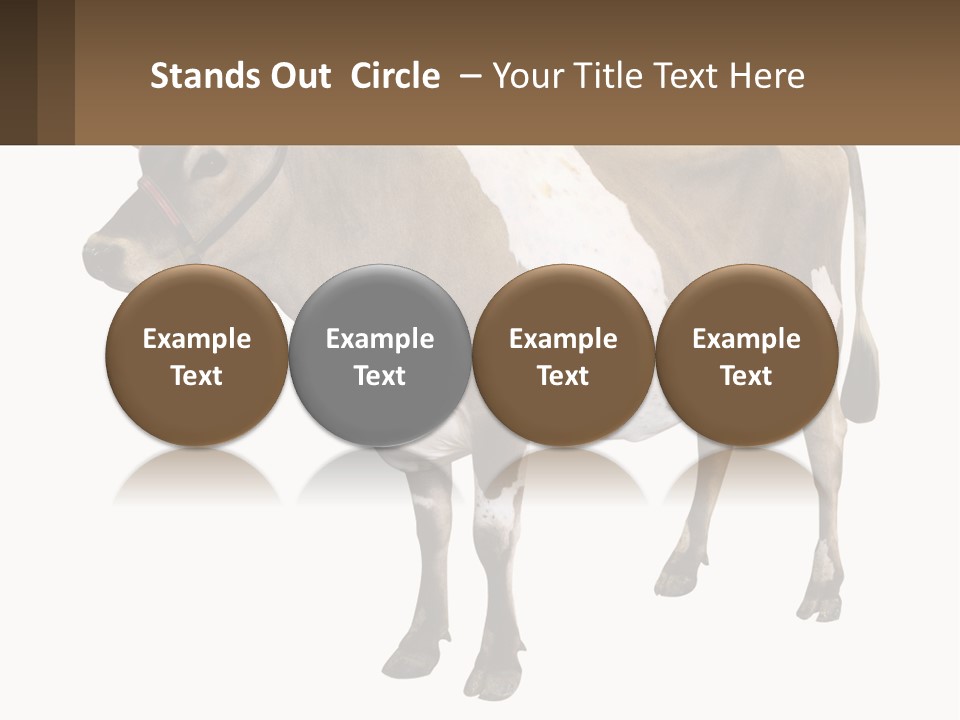 Conditioner House Cooling PowerPoint Template