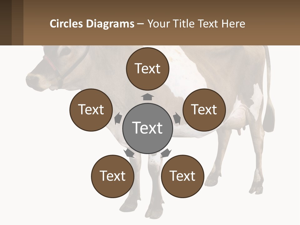 Conditioner House Cooling PowerPoint Template