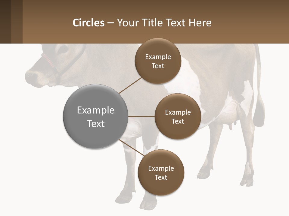 Conditioner House Cooling PowerPoint Template