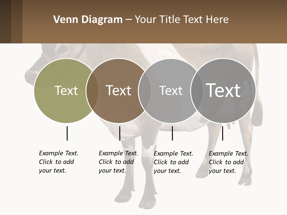 Conditioner House Cooling PowerPoint Template