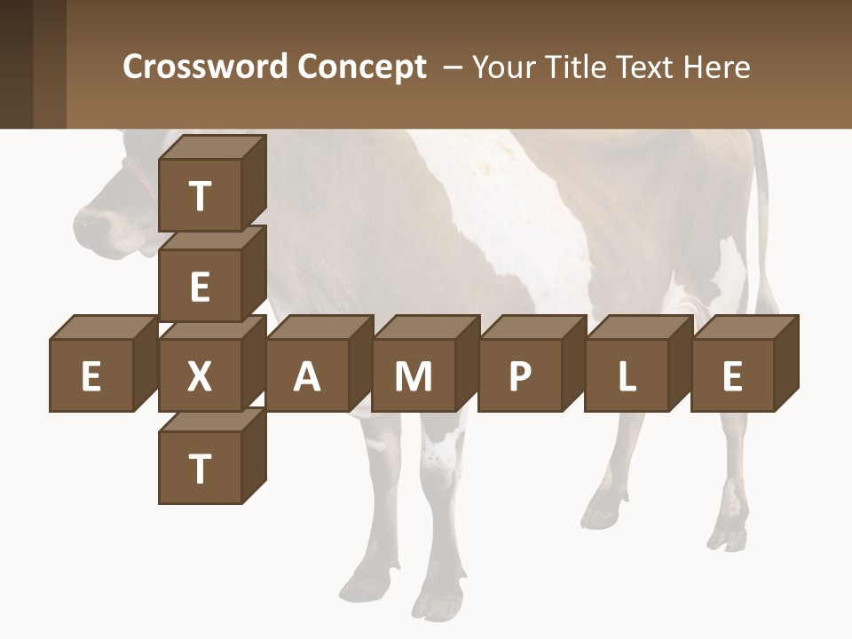 Conditioner House Cooling PowerPoint Template
