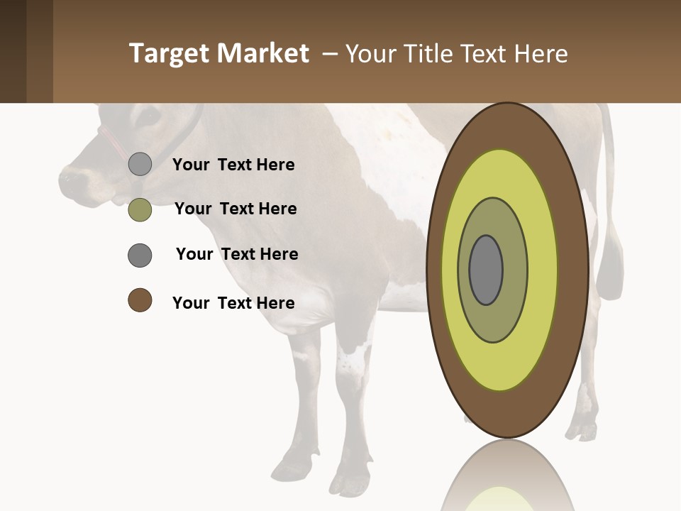 Conditioner House Cooling PowerPoint Template