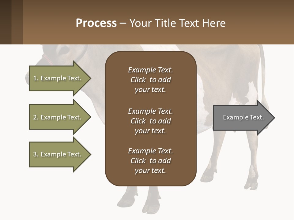 Conditioner House Cooling PowerPoint Template