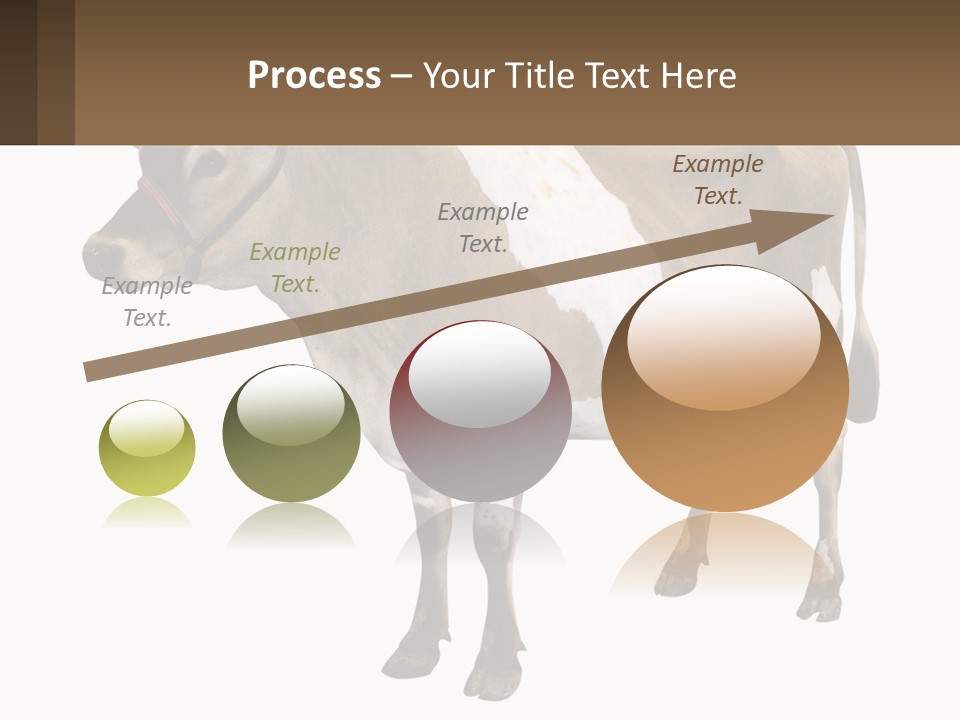Conditioner House Cooling PowerPoint Template
