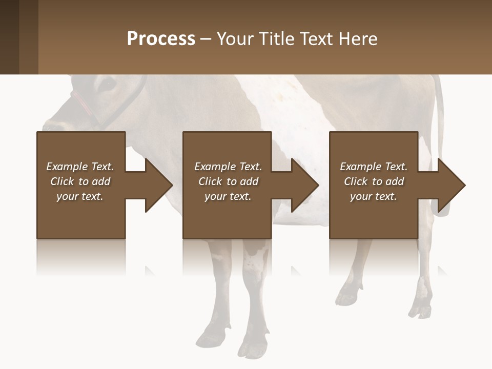 Conditioner House Cooling PowerPoint Template