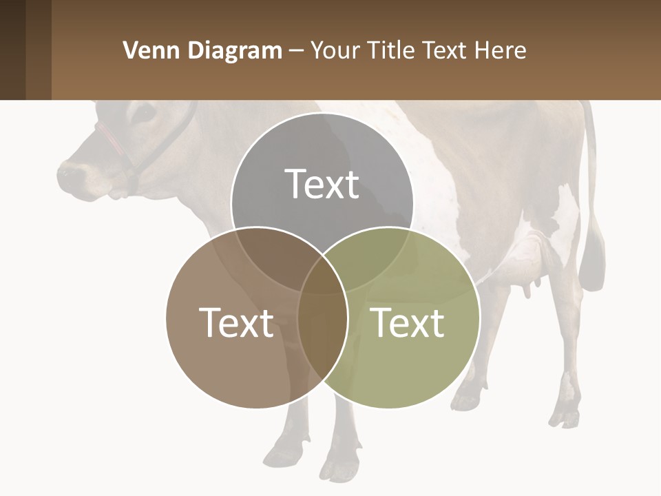 Conditioner House Cooling PowerPoint Template