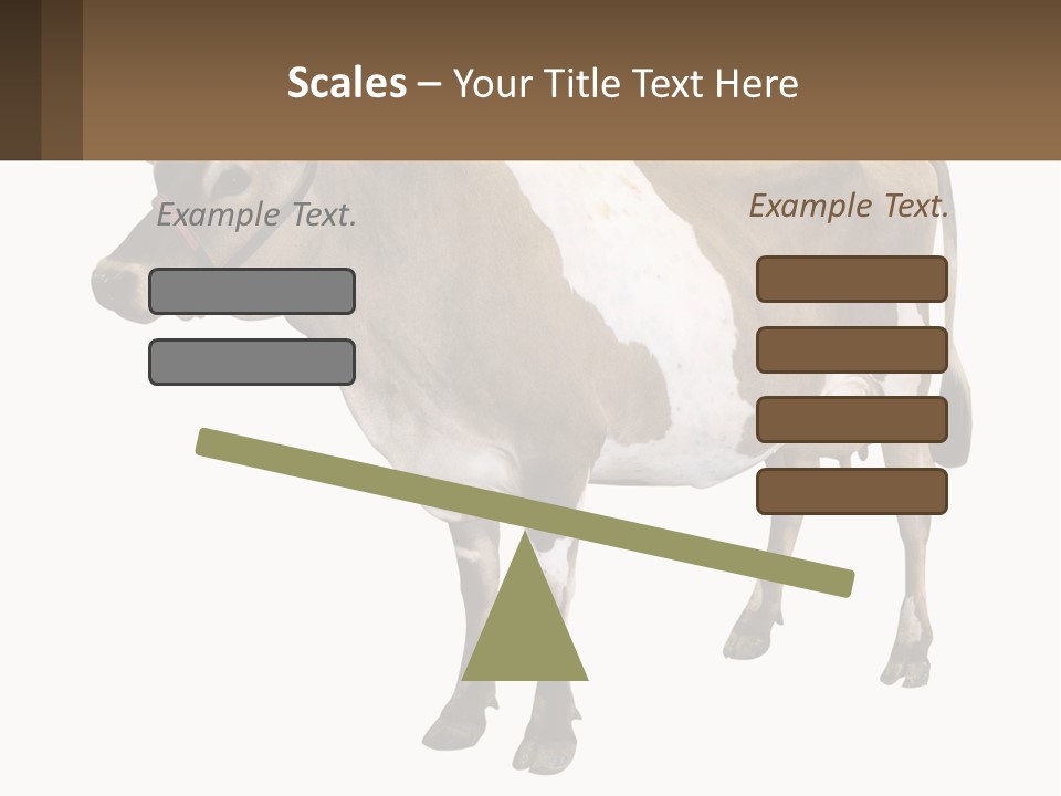Conditioner House Cooling PowerPoint Template