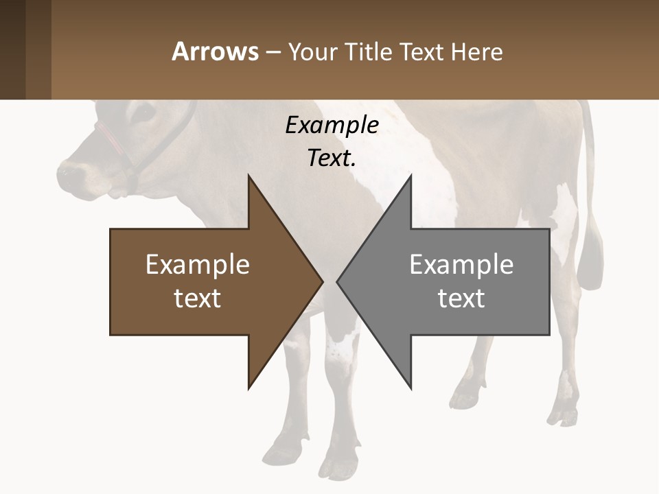 Conditioner House Cooling PowerPoint Template