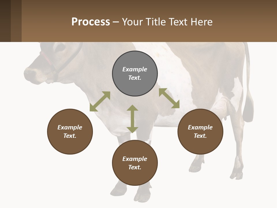Conditioner House Cooling PowerPoint Template
