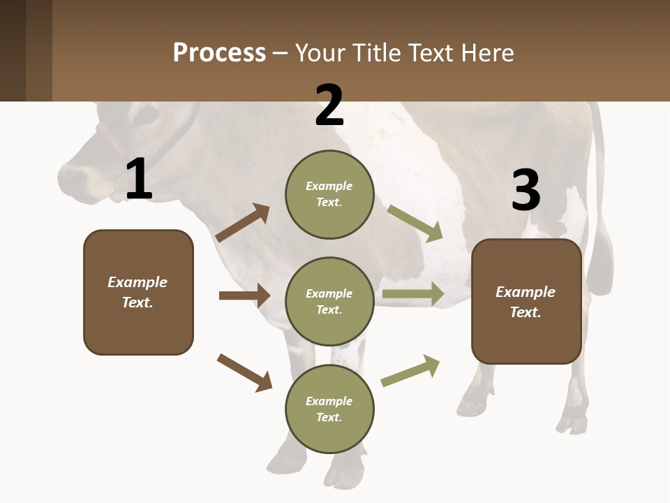 Conditioner House Cooling PowerPoint Template