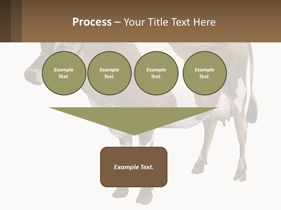 Conditioner House Cooling PowerPoint Template