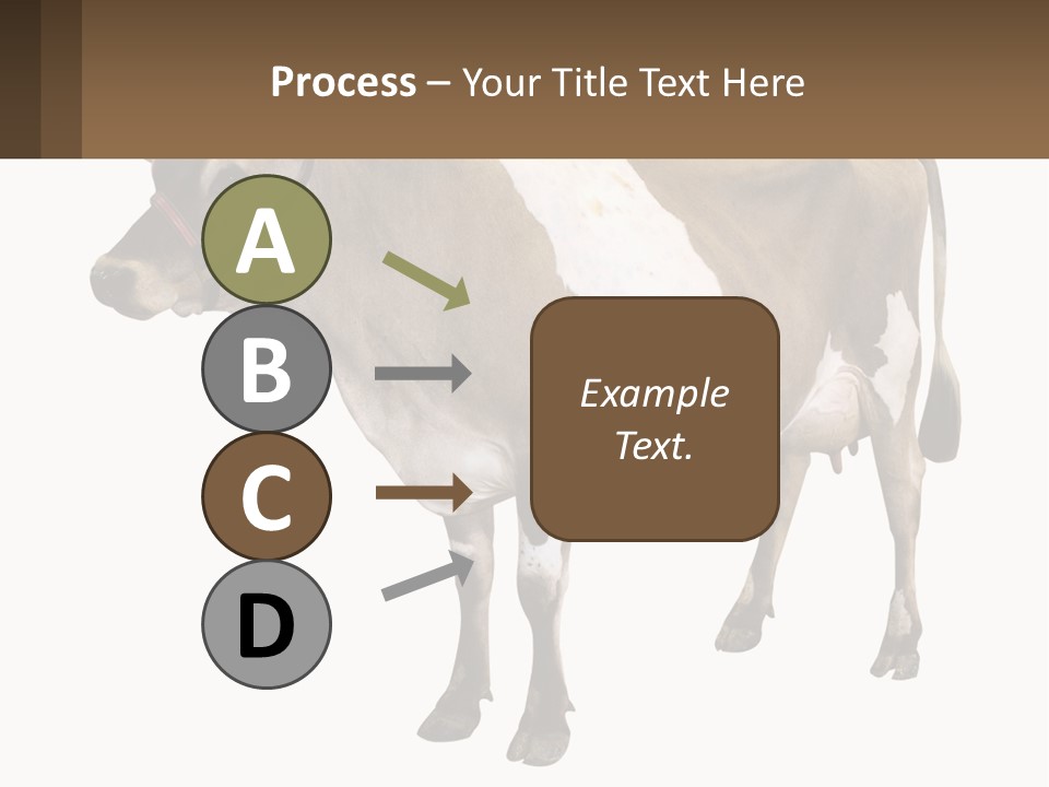 Conditioner House Cooling PowerPoint Template