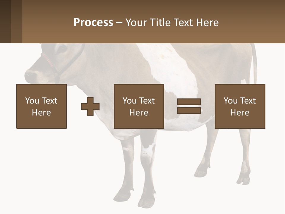 Conditioner House Cooling PowerPoint Template