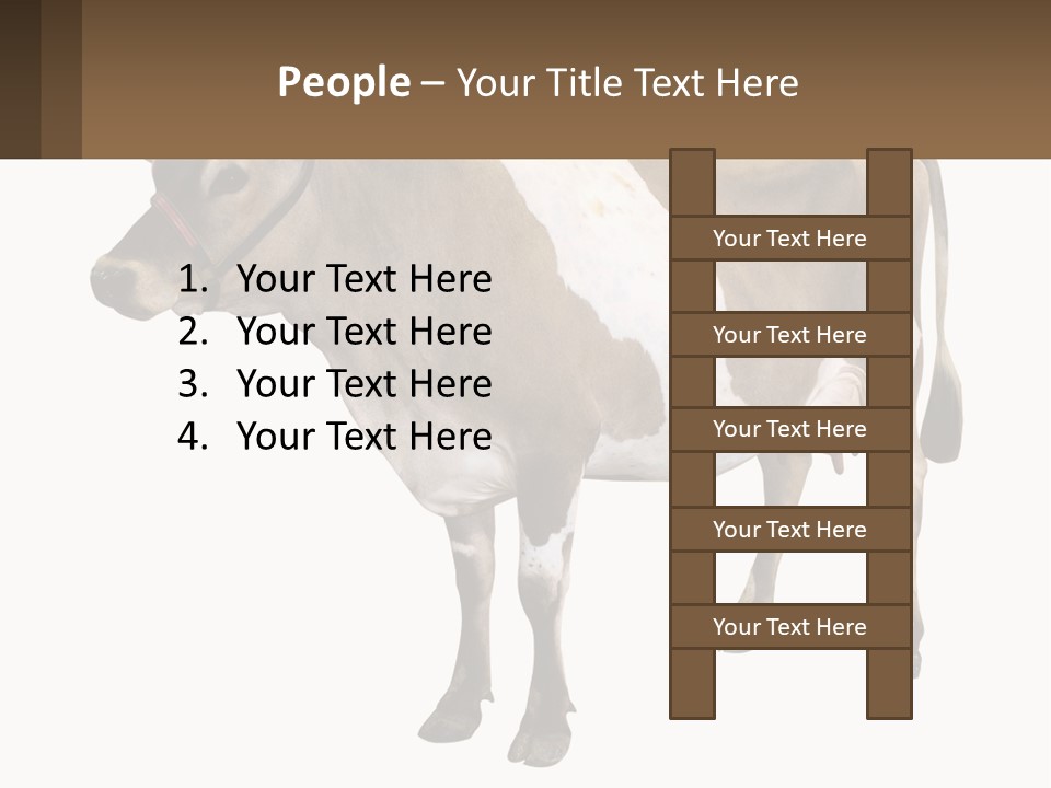 Conditioner House Cooling PowerPoint Template
