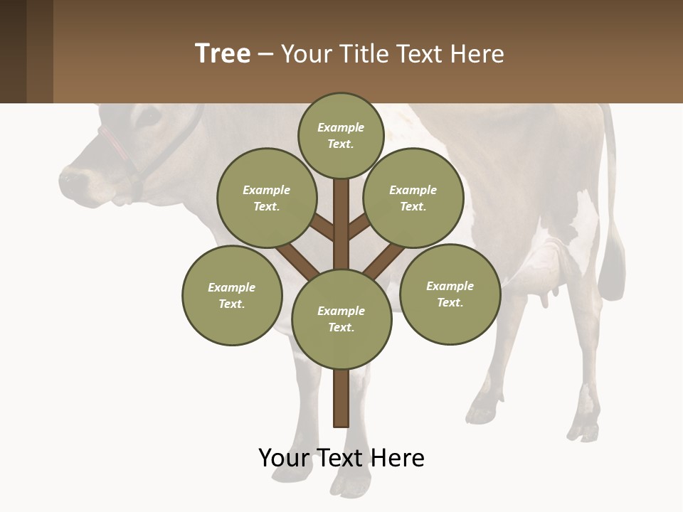 Conditioner House Cooling PowerPoint Template