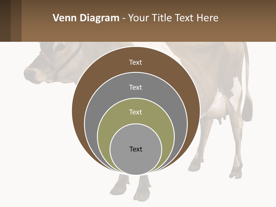 Conditioner House Cooling PowerPoint Template
