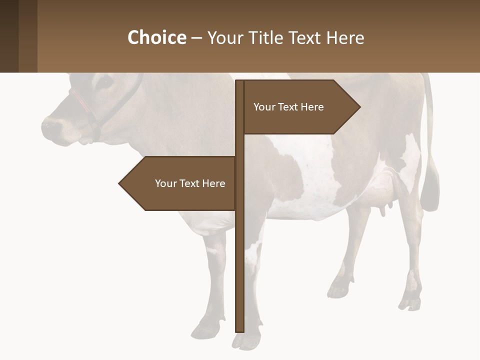 Conditioner House Cooling PowerPoint Template