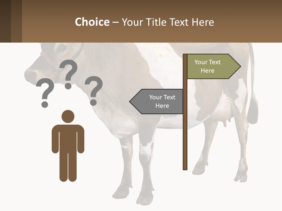 Conditioner House Cooling PowerPoint Template