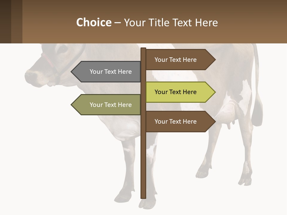Conditioner House Cooling PowerPoint Template