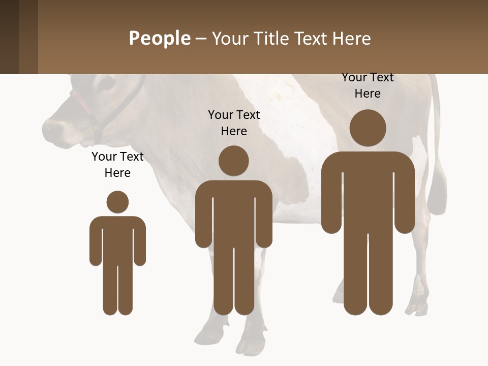 Conditioner House Cooling PowerPoint Template