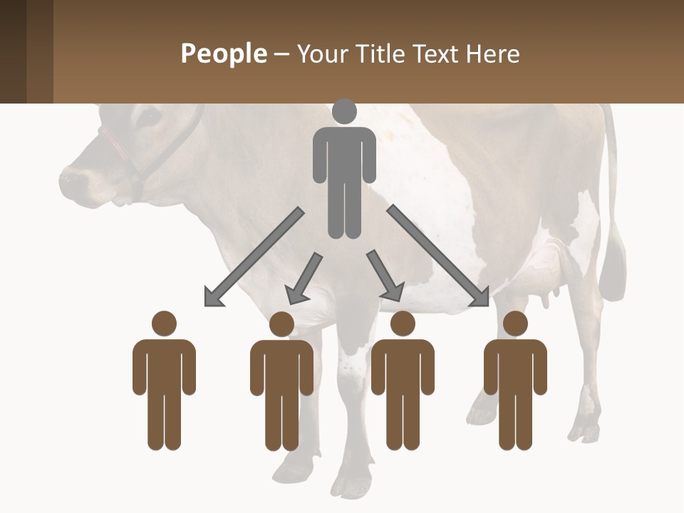 Conditioner House Cooling PowerPoint Template