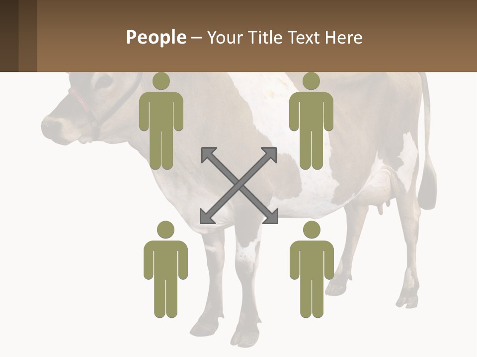 Conditioner House Cooling PowerPoint Template