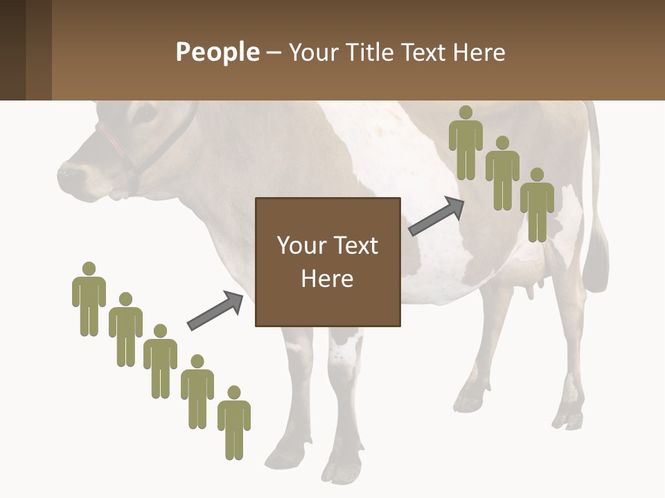 Conditioner House Cooling PowerPoint Template