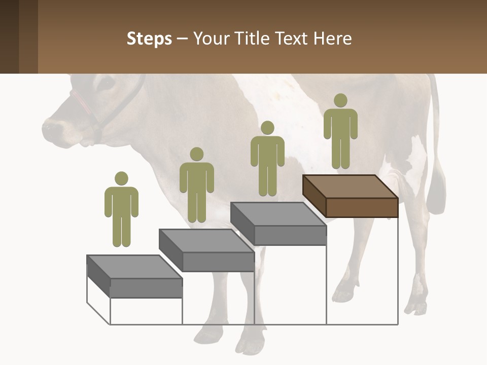 Conditioner House Cooling PowerPoint Template