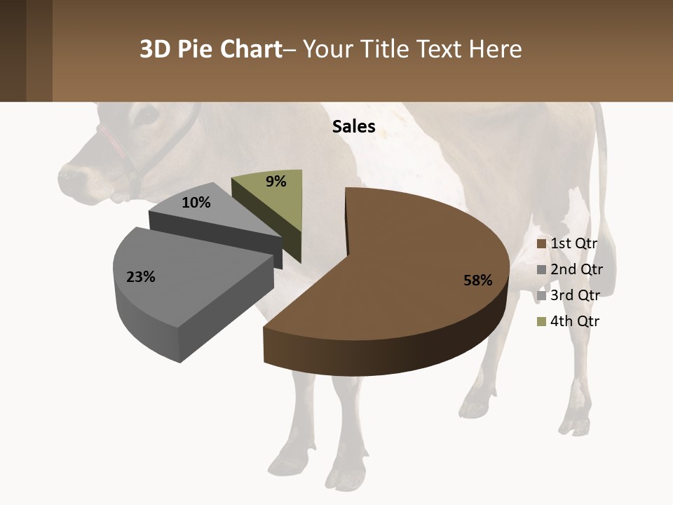 Conditioner House Cooling PowerPoint Template