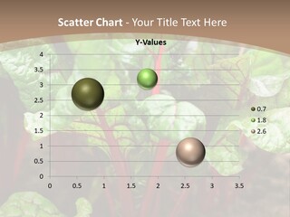 Climate Heat Part PowerPoint Template