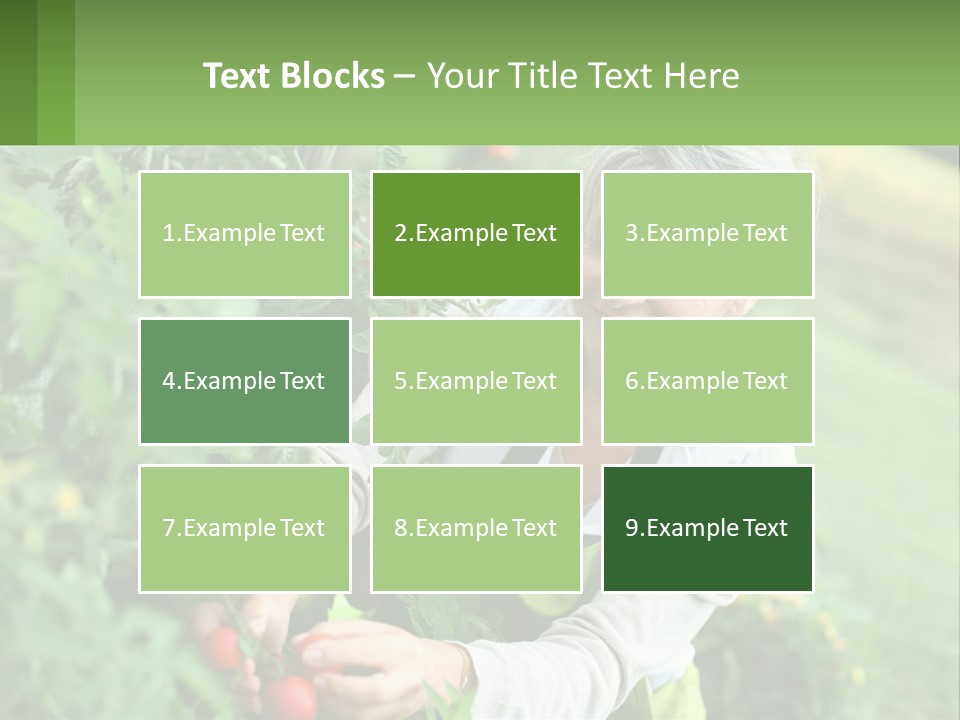 Part Conditioner Air PowerPoint Template