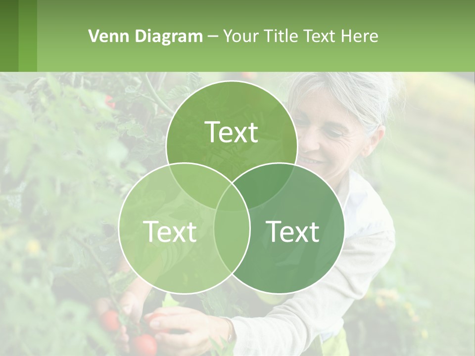 Part Conditioner Air PowerPoint Template