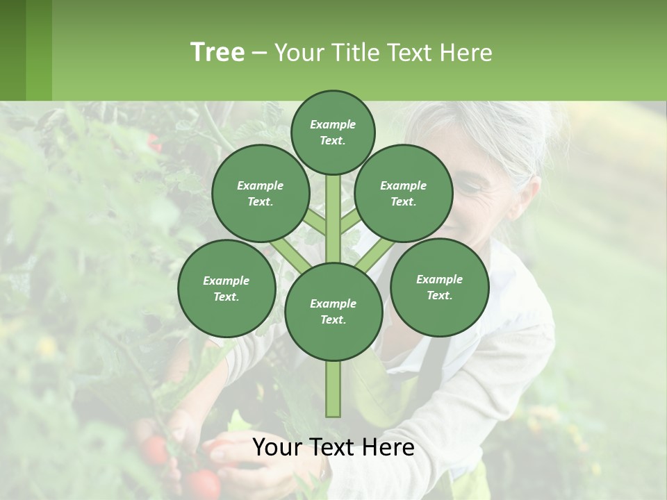 Part Conditioner Air PowerPoint Template