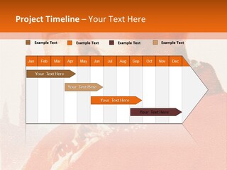 Electricity Cool Heat PowerPoint Template