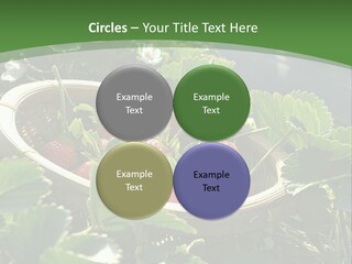 Cold Cooling Unit PowerPoint Template
