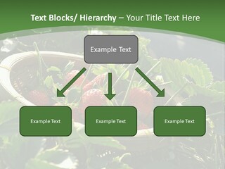 Cold Cooling Unit PowerPoint Template