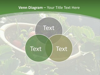 Cold Cooling Unit PowerPoint Template