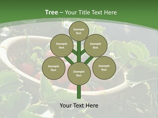 Cold Cooling Unit PowerPoint Template