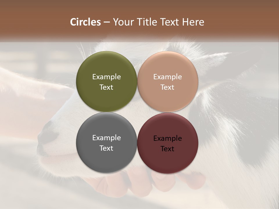 Remote Energy White PowerPoint Template