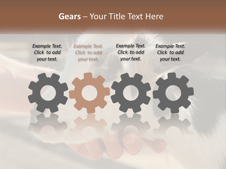 Remote Energy White PowerPoint Template