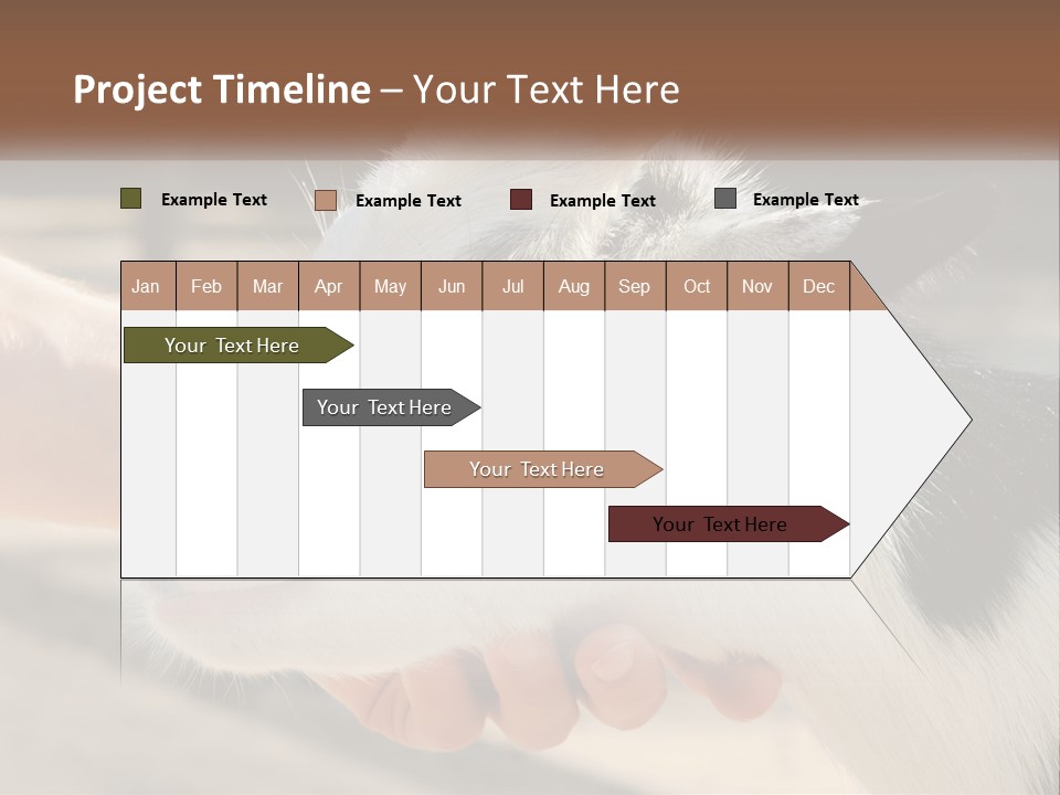 Remote Energy White PowerPoint Template