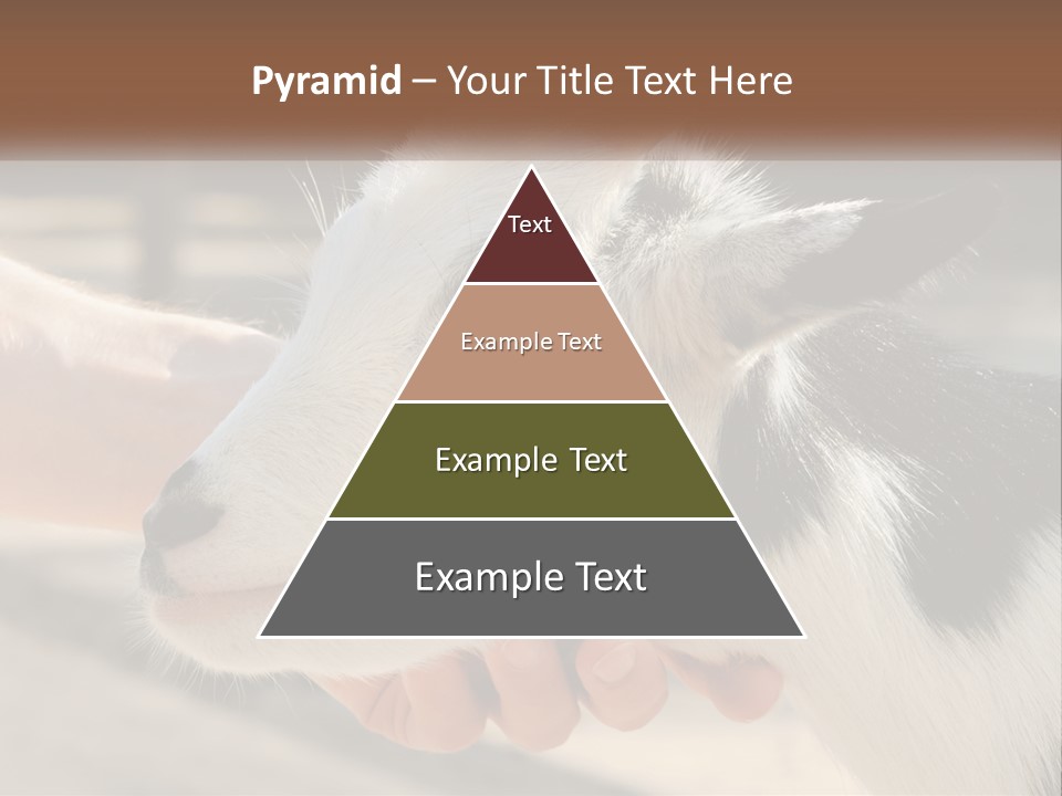Remote Energy White PowerPoint Template