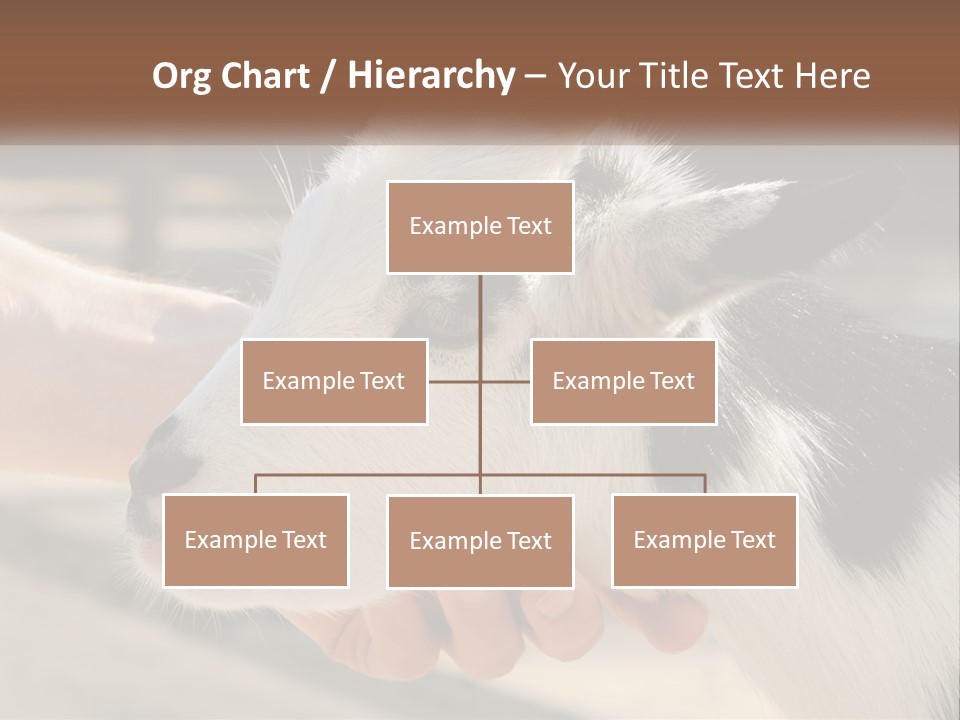 Remote Energy White PowerPoint Template