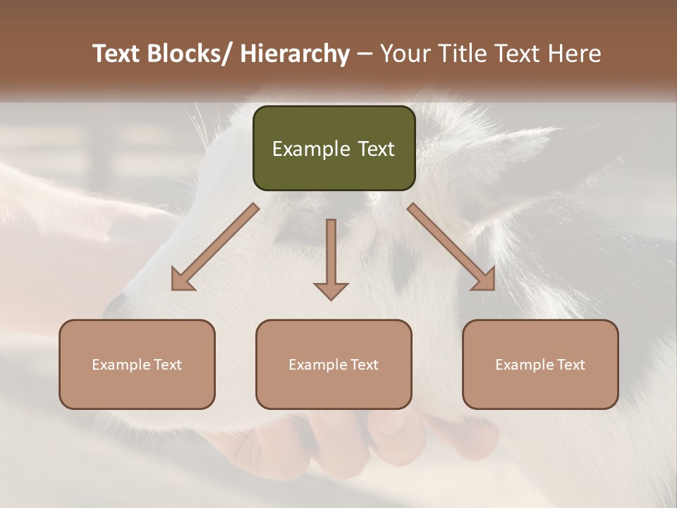 Remote Energy White PowerPoint Template
