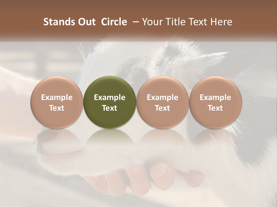 Remote Energy White PowerPoint Template