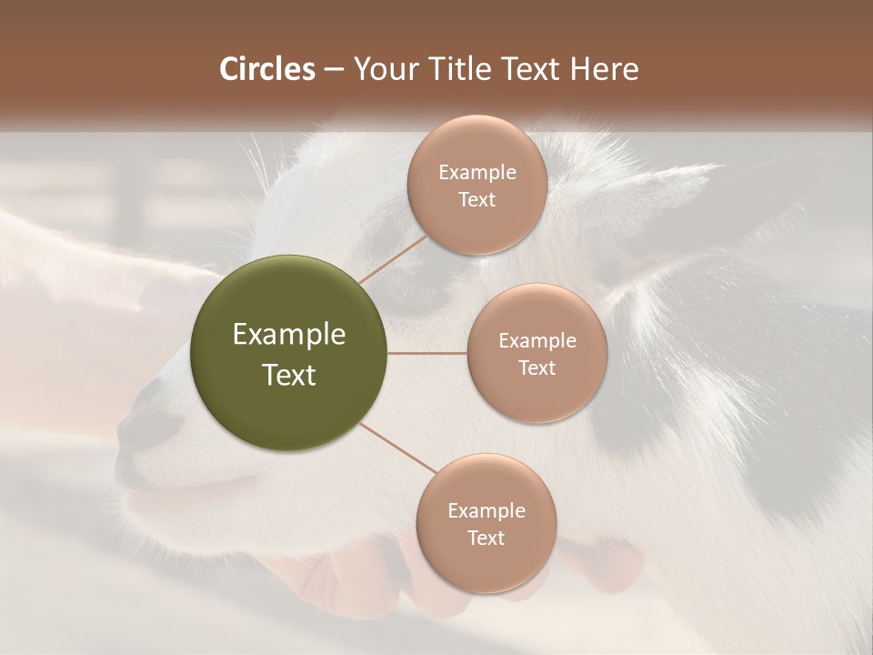 Remote Energy White PowerPoint Template