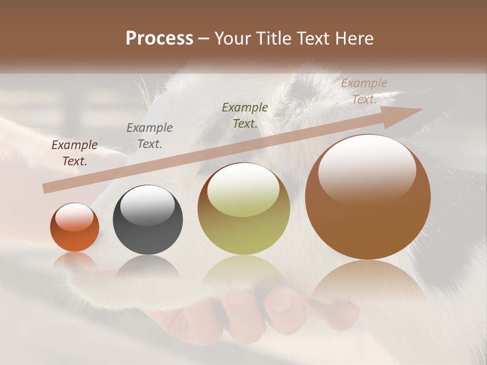 Remote Energy White PowerPoint Template