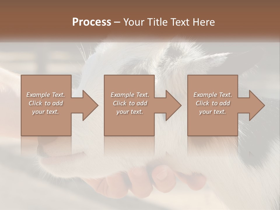 Remote Energy White PowerPoint Template
