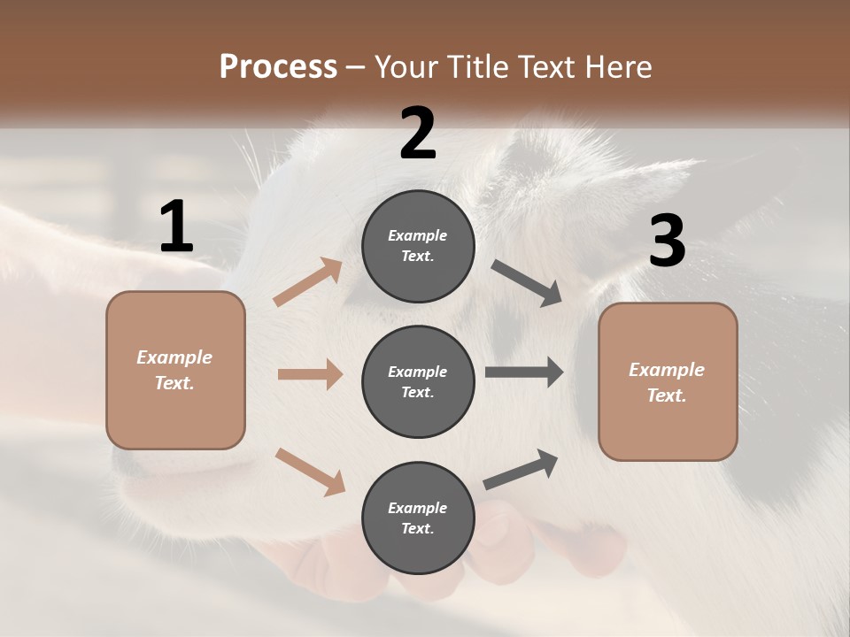 Remote Energy White PowerPoint Template