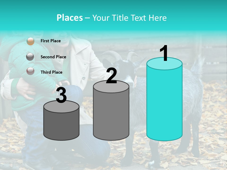 Part Home Heat PowerPoint Template